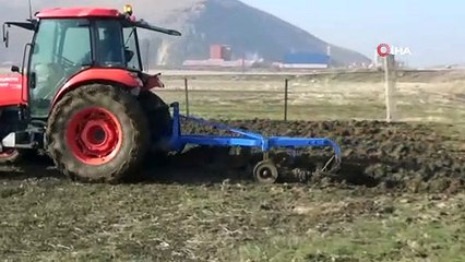 Sıcak hava çiftçileri sevindirdi
