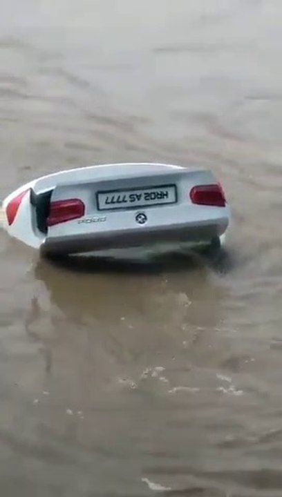 Homem atira BMW ao rio porque não era o modelo que queria