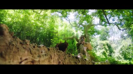 Sinema - Şuursuz Aşk - İSTANBUL