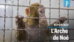 La Tanière : un refuge pour les animaux de laboratoires et de cirques