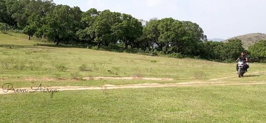 cashew tree-Kaju Ka Bagan-चलो चले काजू का बागान