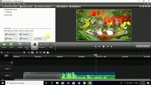 How To Zoom, Edit Audio, Transition, Visual Properties, Logo Use, Camtasia Video Editing Part 02