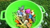 Learn Zoo Wild Animals Names Educational Toys Video For Children