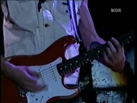 Jingo de Lunch Growing Pains