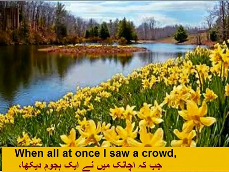 Aao English Seekhein, class 9 Unit 5.1, Daffodils poem