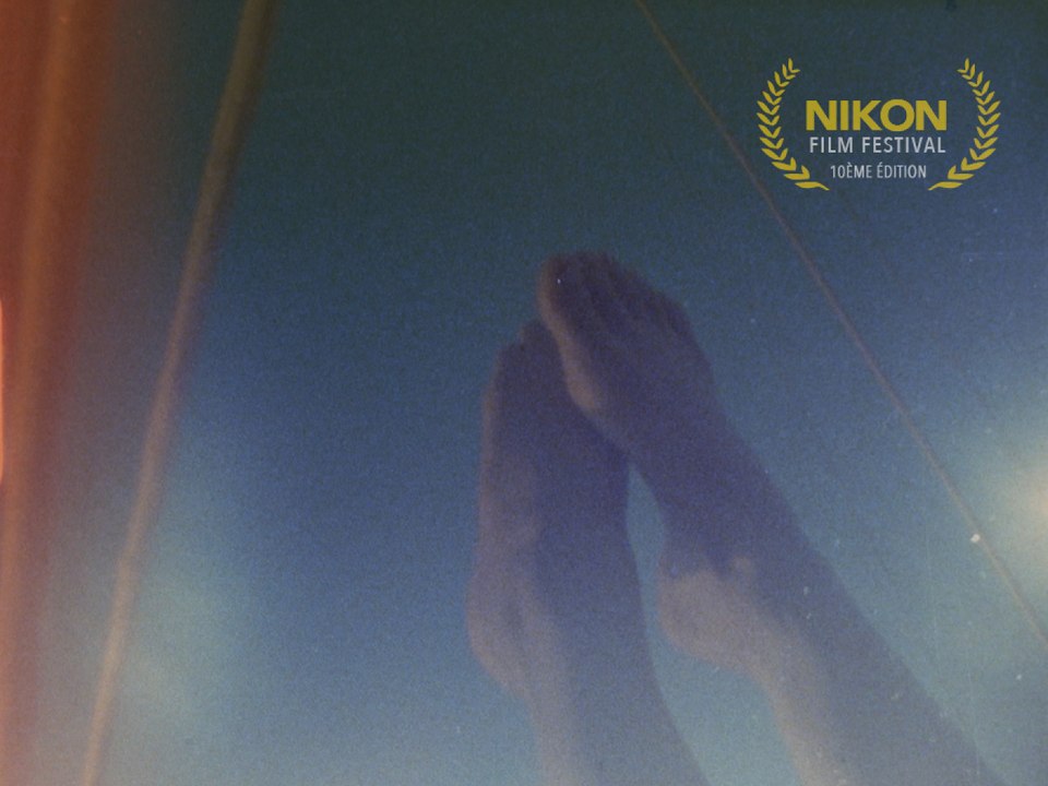 LES FLÈCHES SAUVAGES