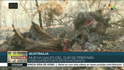 Australia: se registran incendios forestales en Nueva Gales del Sur