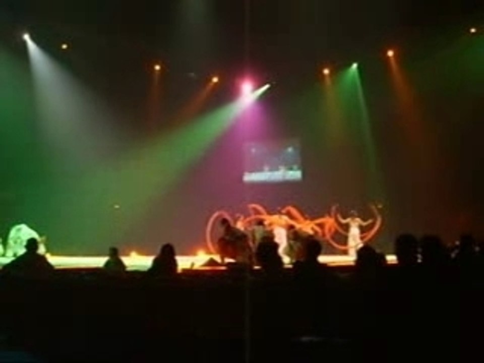 Les étoiles du cirque de Pékin