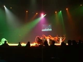 Les étoiles du cirque de Pékin