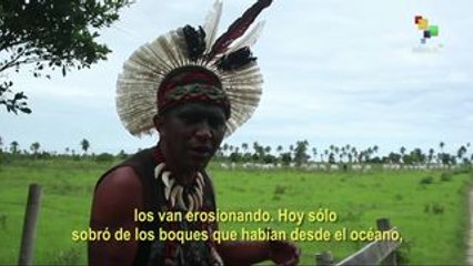 Reportajes teleSUR: Pataxó, donde nació la resistencia