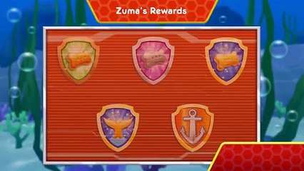 Paw Patrol Air and Sea Adventures ⭐️ Sea Patrol Play with Zuma ⭐️Paw Patrol Games