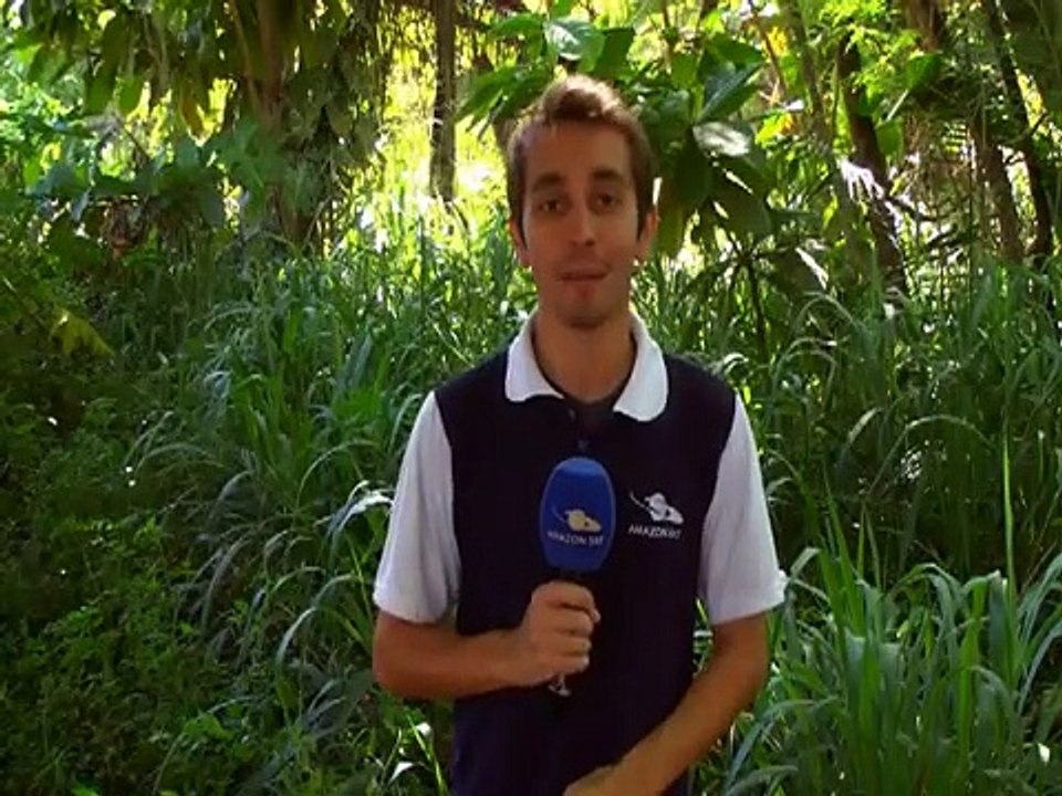 A Última no Tambor