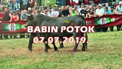 RAMBO CIGO BABIN POTOK 2019