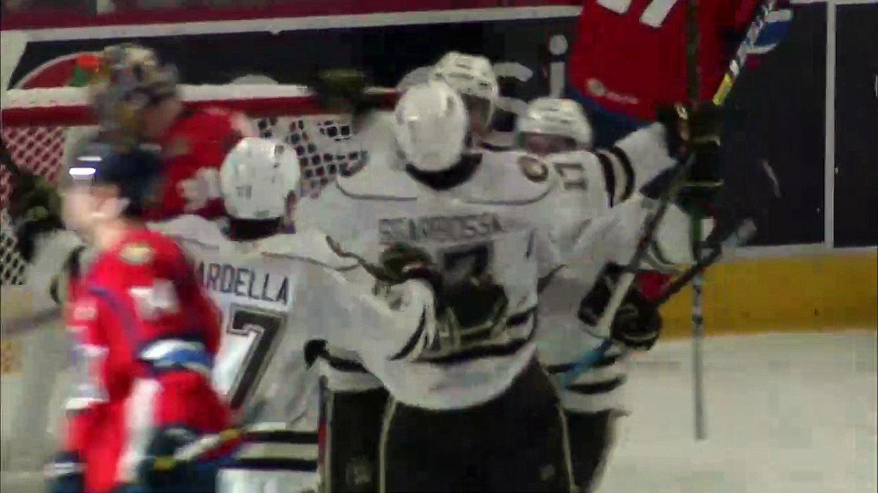 AHL Hershey Bears Vs Springfield Thunderbirds P...