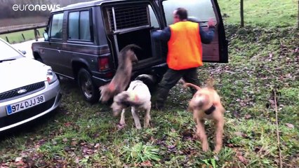 Νέα εφαρμογή ενημερώνει για την θέση των κυνηγών