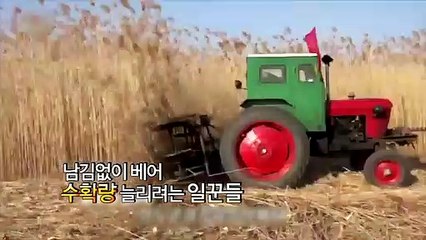 [영상구성] 농촌과 도시 겨울 풍경