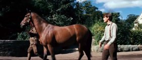 Cavalo de Guerra: Trailer