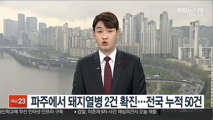 파주에서 돼지열병 2건 확진…전국 누적 50건