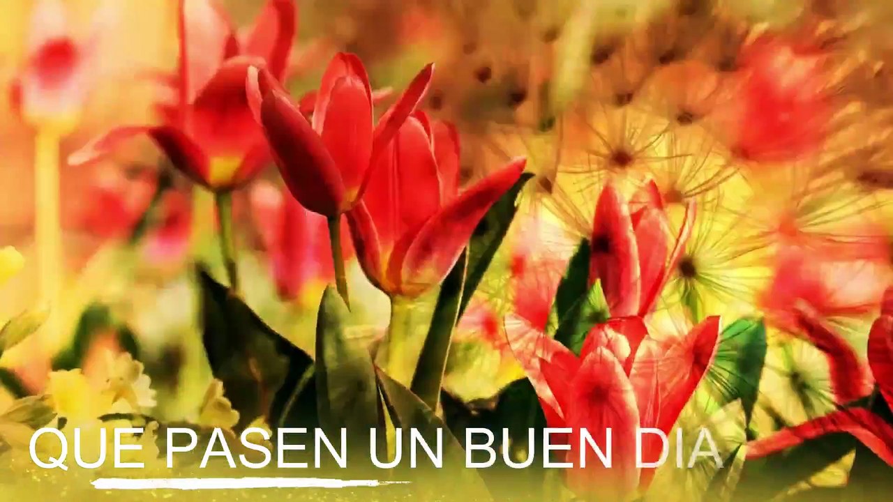 Conoce El Tiempo de Hoy Lunes 23 de Diciembre de 2019
