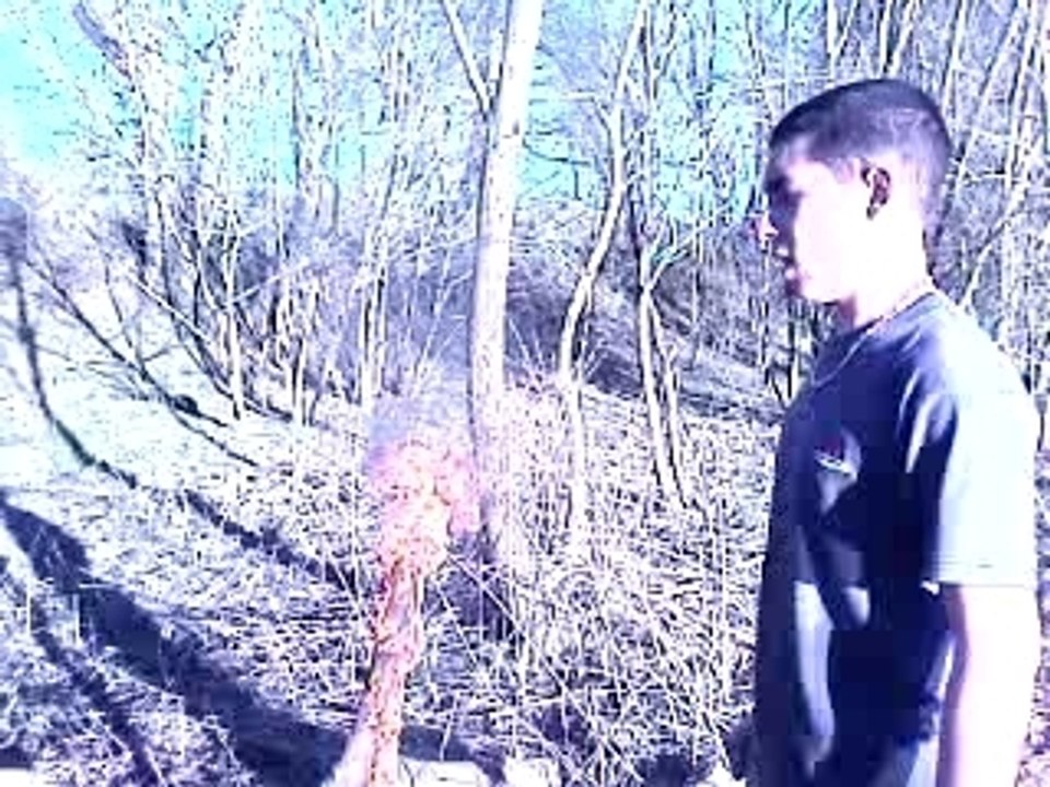 VIDEO_009