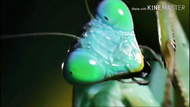 Start Journy In BIOLOGY WORLD/NEET 2020/AIIMS 2020 / HOW TO START LIFE