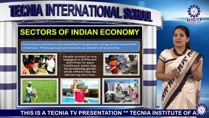 SOCIAL SCIENCE || Ms. PINKI NARANG || SECTORS OF INDIAN ECONOMY || TIS || TIAS || TECNIA TV