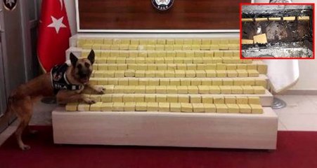 Yolcu otobüsünde 92 kilo eroin ele geçirildi