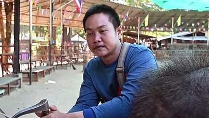 En Thaïlande, le sombre envers du décor pour les "éléphants à touristes"