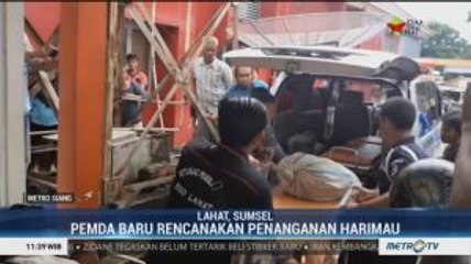 Satu Warga Meninggal Diterkam Harimau di Sumsel