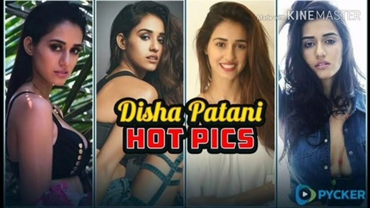 Sexy Disha Patani hot look in bikini