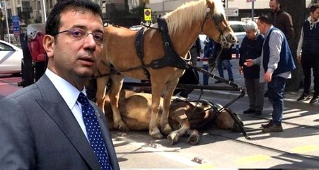Son Dakika: İmamoğlu: Vatandaşlarımızın talebi üzerine Adalar'da fayton kalkıyor