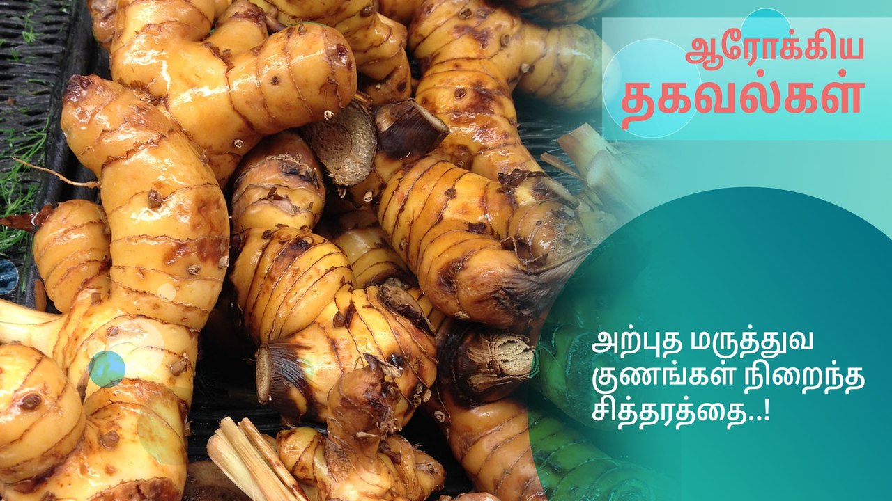 அற்புத மருத்துவ குணங்கள் நிறைந்த சித்தரத்தை..!