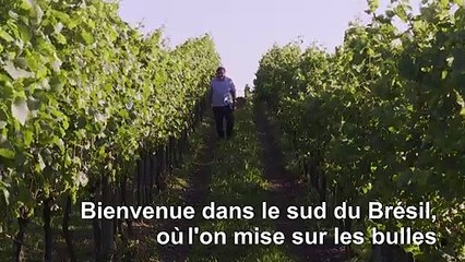 Dans la Serra Gaucha, le Brésil produit un vin mousseux apprécié