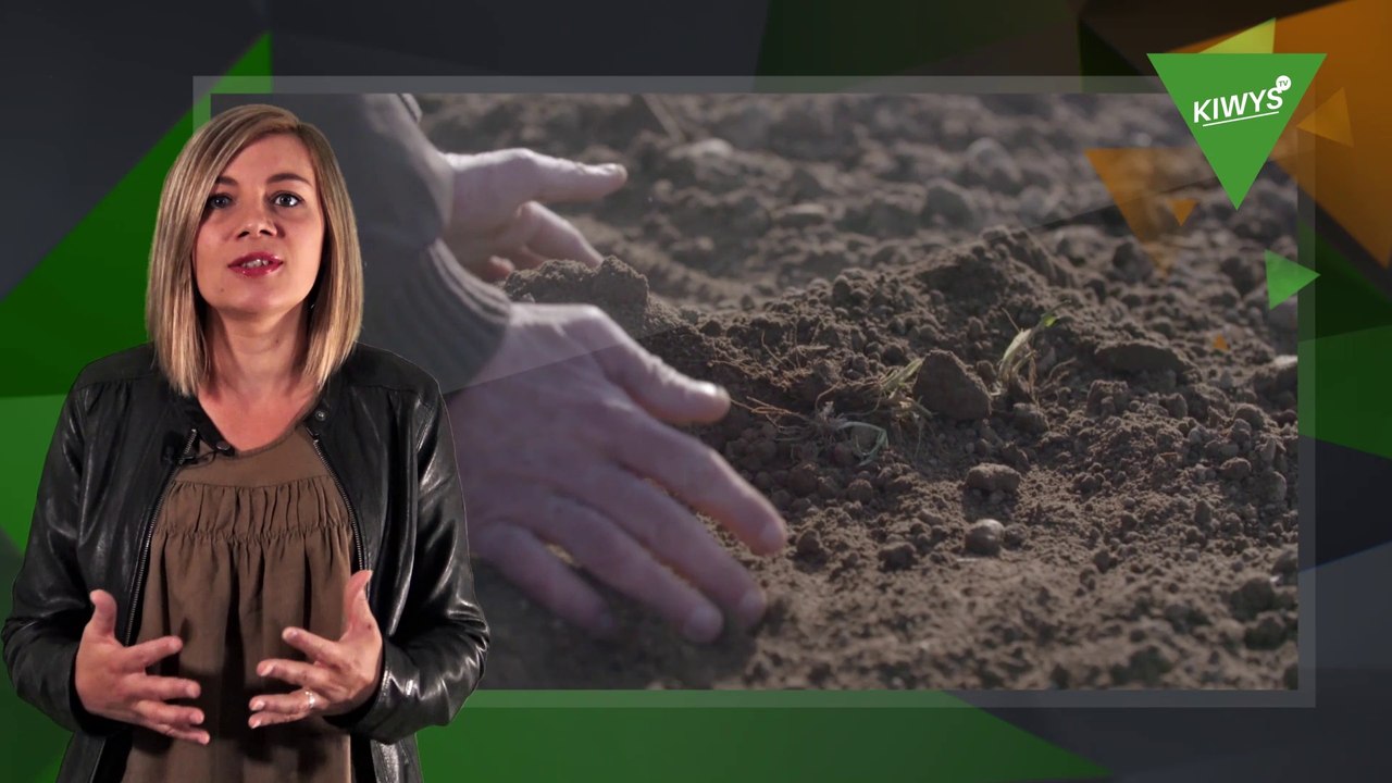 Potager bio : les fondamentaux à connaitre