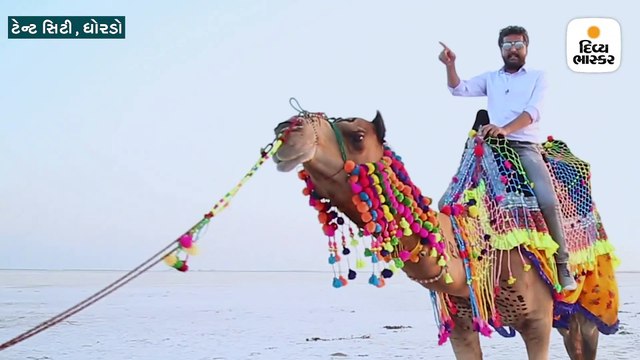 કચ્છના સફેદ રણમાંથી કેમેરામાં કેદ થયો સૂર્યાસ્તનો અદભુત નજારો, પ્રવાસીઓ રોમાંચિત