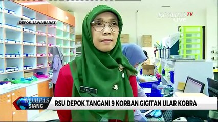 RSUD Depok Punya Serum Anti Bisa Ular, Seperti Apa?