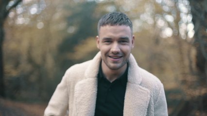 Liam Payne - All I Want (For Christmas)