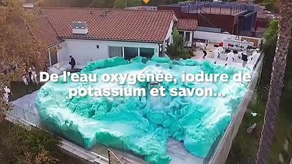 Une éruption de mousse recouvre un jardin en quelques secondes