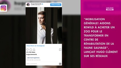 Hugo Clément : son projet de rachat d'un zoo cartonne !