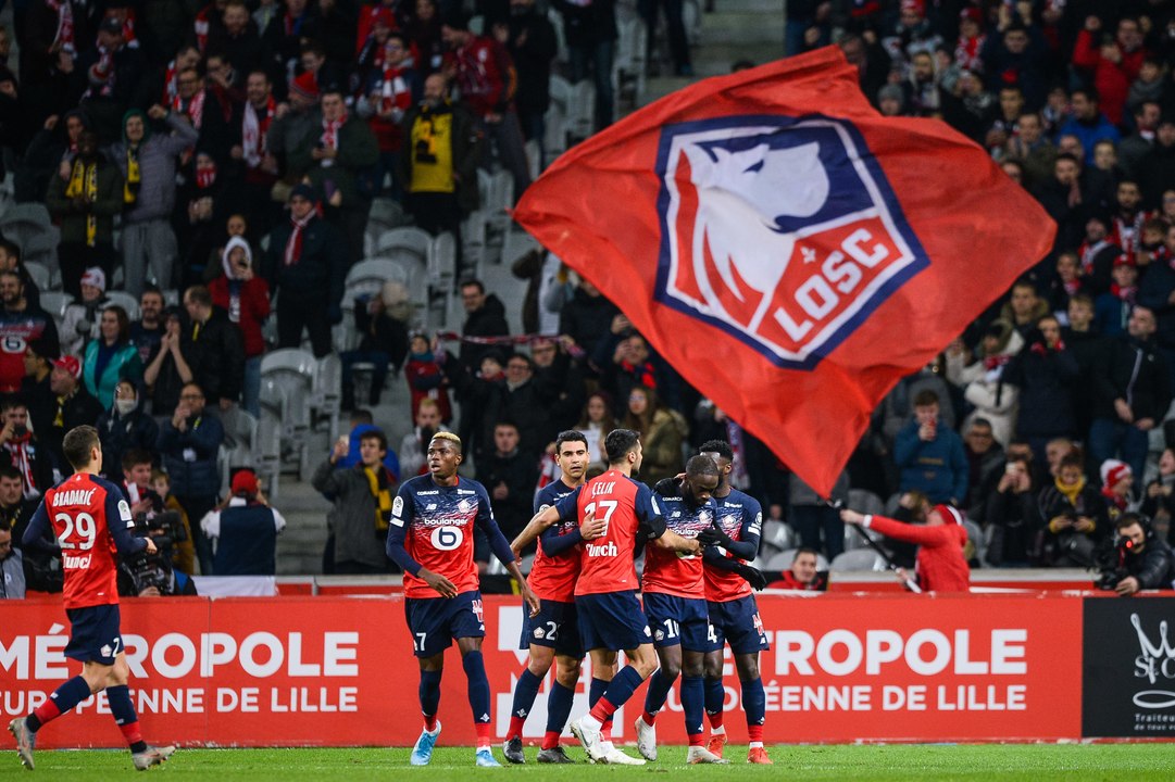 LOSC : le bilan en chiffres des Dogues à la trêve