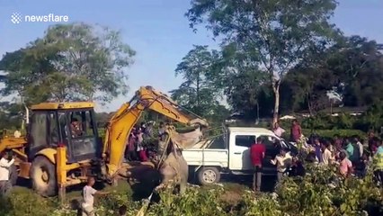 Abandoned baby elephant rescued from ditch after marathon operation in northeastern India