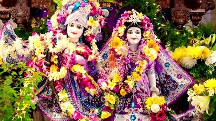 Radhe Rani Mujhe Shyam Se Mila de | Radha Rani New Bhajan 2019