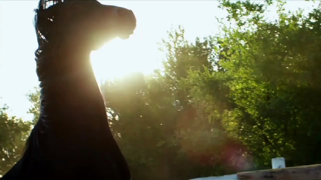 Flicka: Country Pride - Meet Flicka | 20th Century FOX