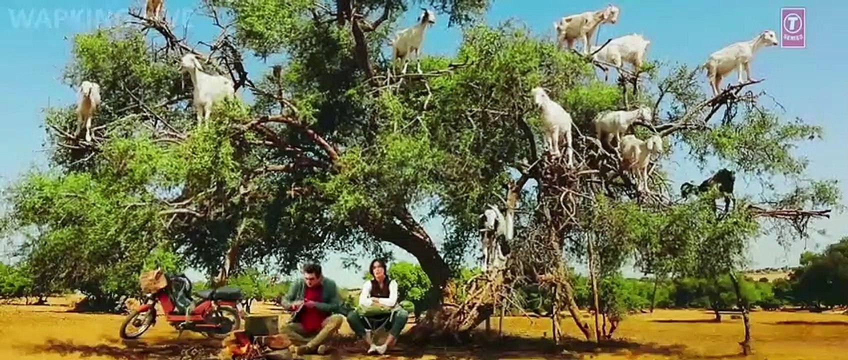 reverse jagga jasoos