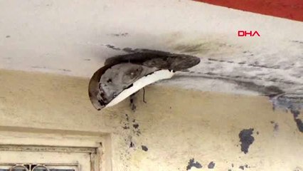 Antalya-antalya'da dev dalgalar, falezleri dövdü -eve yıldırım isabet etti