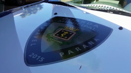 Guarda Municipal prende homem que descumpriu medida protetiva