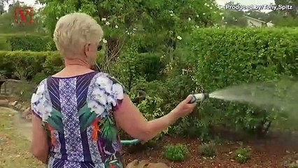Firefighter Takes a Break From the Inferno to Give Koala a Drink