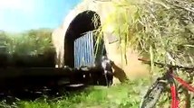 ¡Imágenes muy sensibles!: El dramático instante en que dos ciclistas evitan ser arrollados por un tren en un túnel