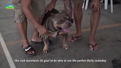 ALAGANG MAGALING  S12 EP 2 - DOG SHOW CARAVAN CHALLENGE_