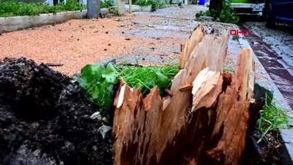 Muğla'da kuvvetli yağmur ve fırtına hayatı olumsuz etkiledi